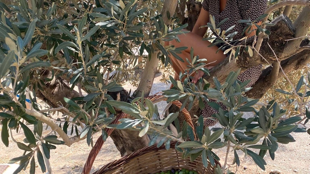 Photo of Others in Kea