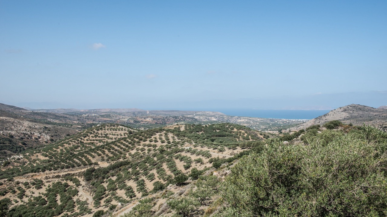Photo of Others in Kalo Chorio