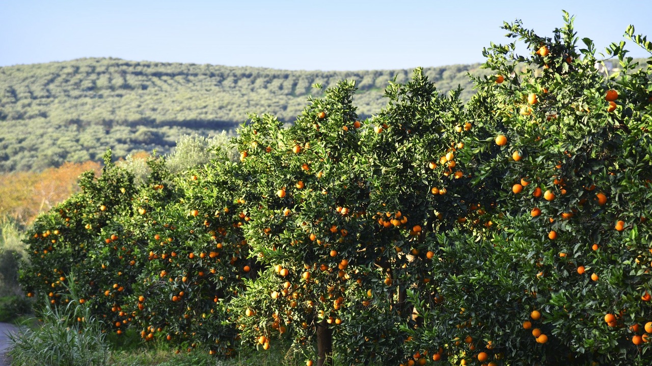 Photo of Outdoor in Kontomari