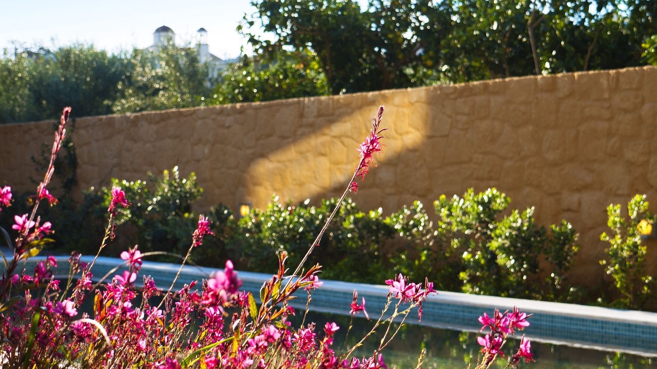 Photo of Outdoor in Kontomari