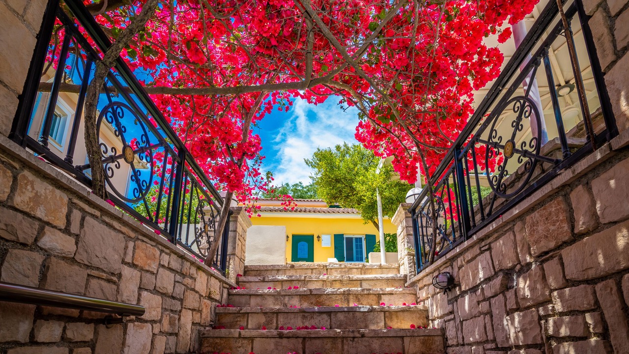 Photo of Outdoor in Zakynthos Town