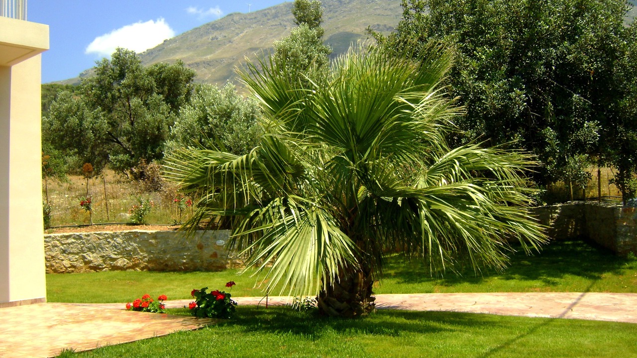 Photo of Outdoor in Triopetra