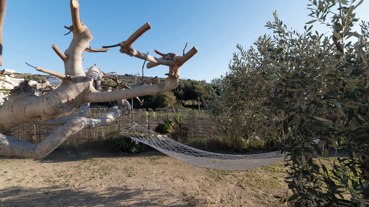 Photo of Outdoor in Neo Kalamaki