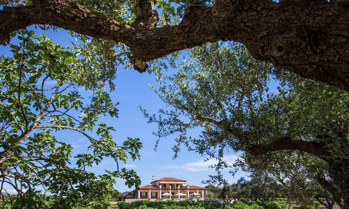 Photo of Outdoor in Agia Marina