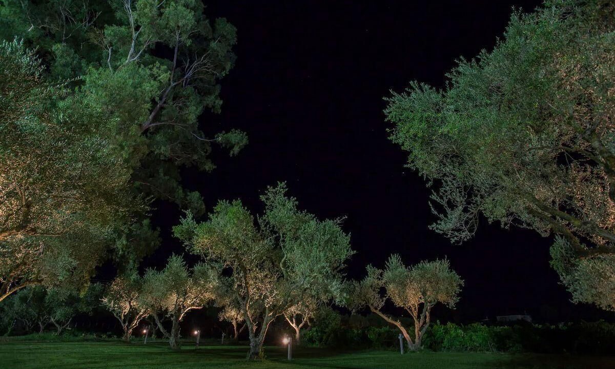 Photo of Outdoor in Agia Marina