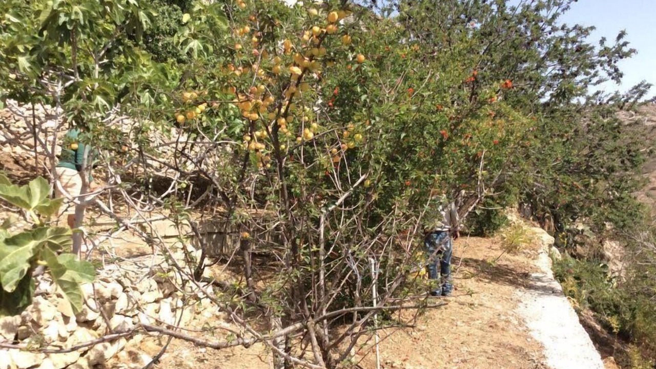 Photo of Outdoor in Karpathos