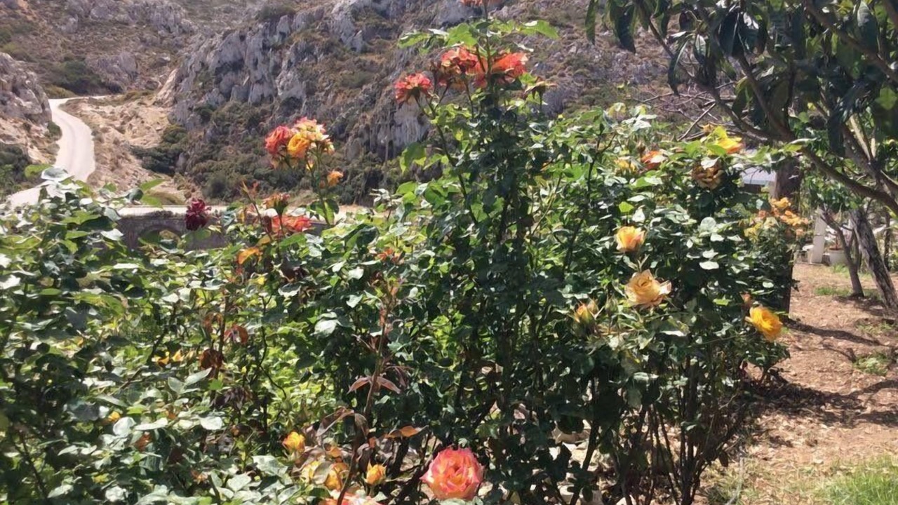 Photo of Outdoor in Karpathos