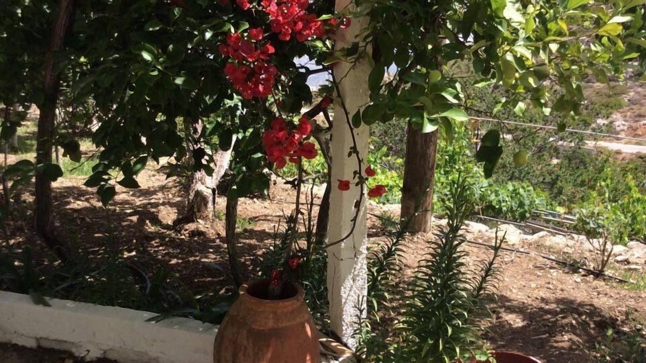 Photo of Outdoor in Karpathos