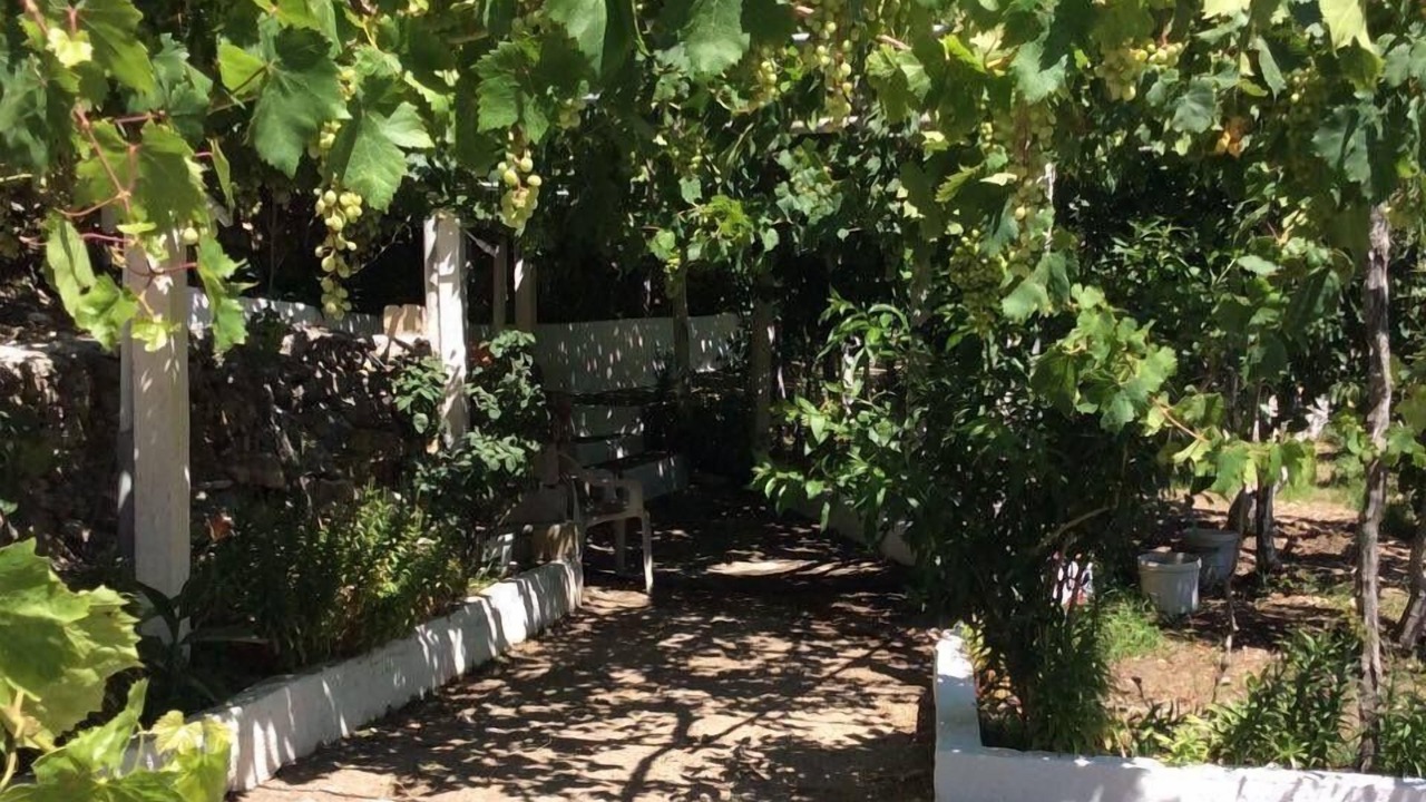 Photo of Outdoor in Karpathos