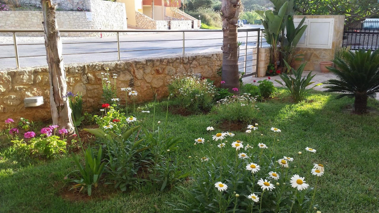 Photo of Outdoor in Kato Stalos