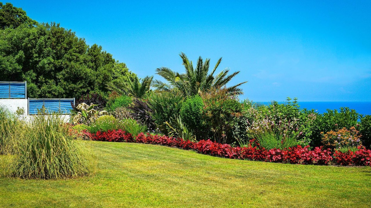 Photo of Outdoor in Skiathos