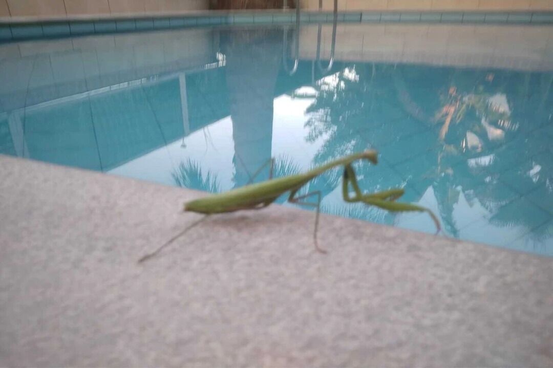 Photo of Outdoor in Ammoudia