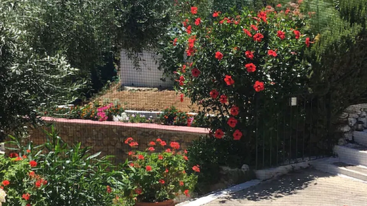 Photo of Outdoor in Lakones