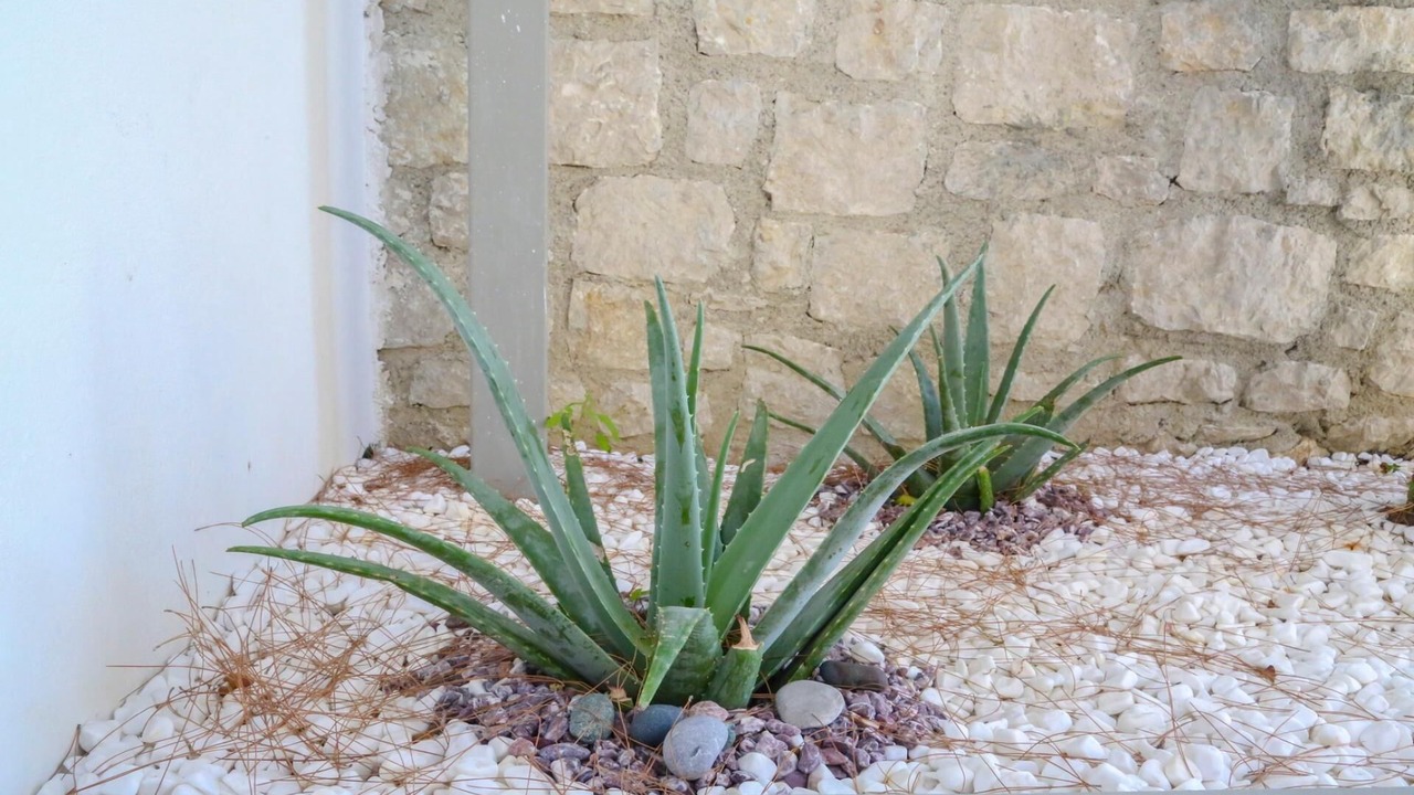 Photo of Outdoor in Pefkos