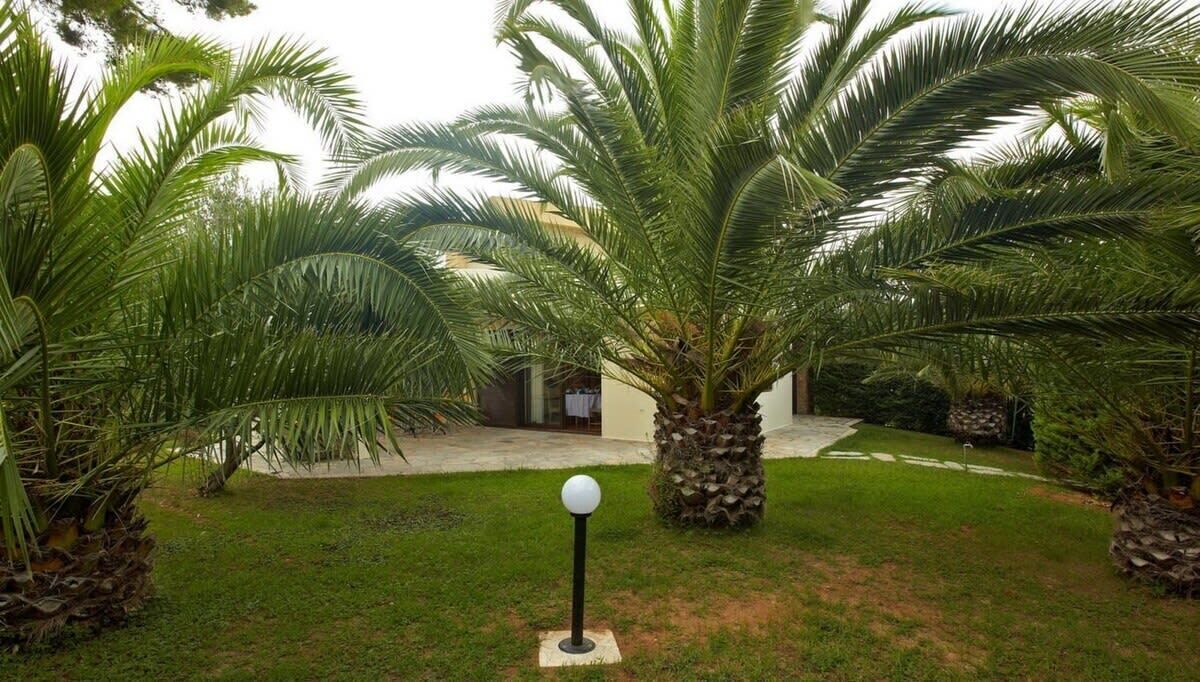 Photo of Outdoor in Sane