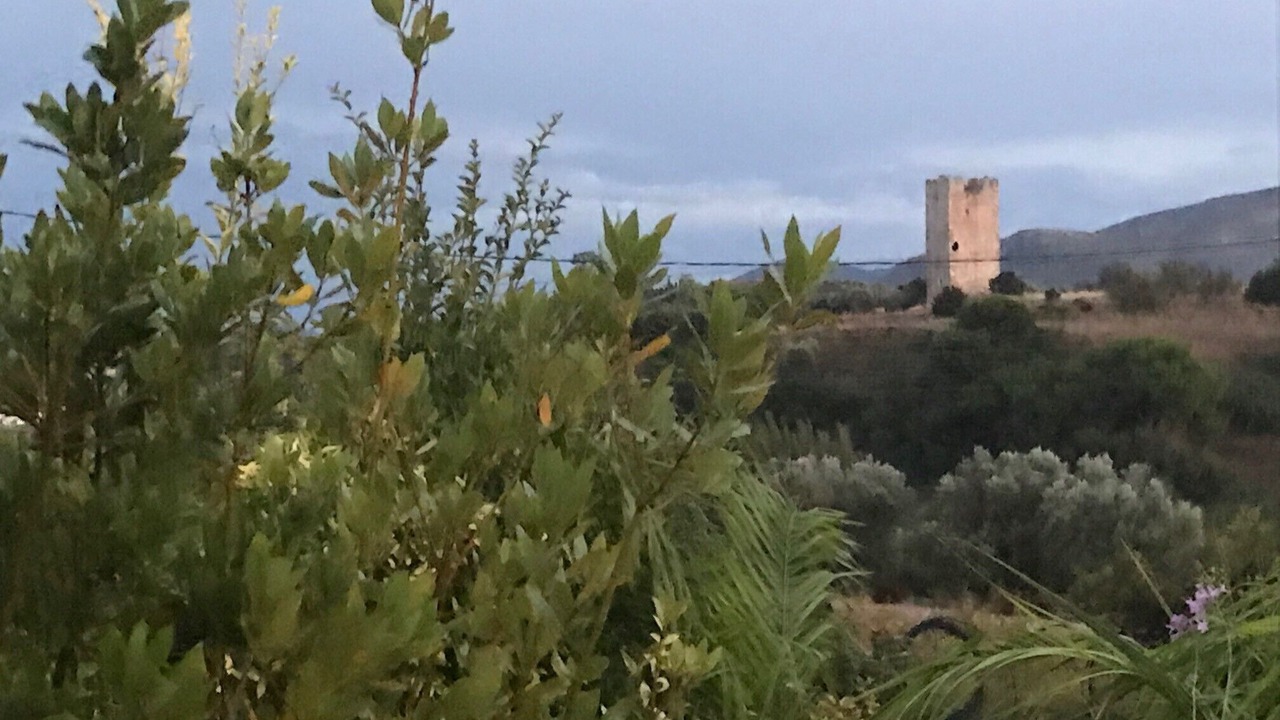 Photo of Outdoor in Spata-Artemida