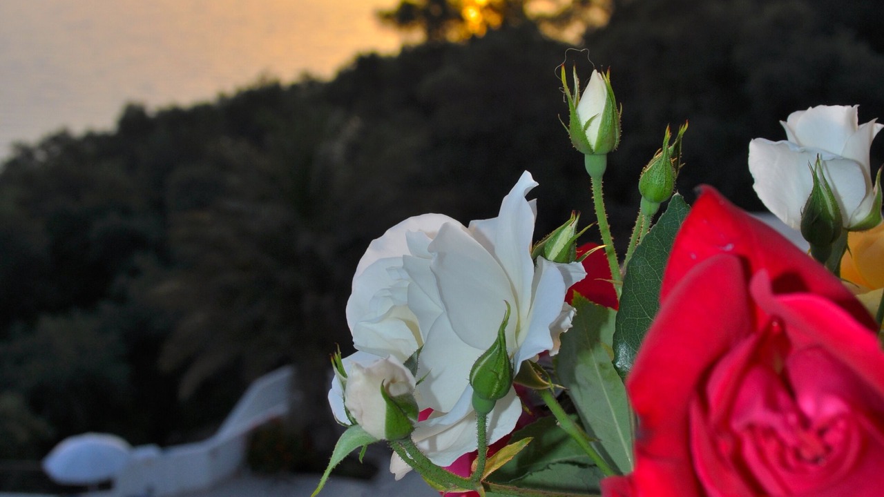 Photo of Others in Agios Gordios