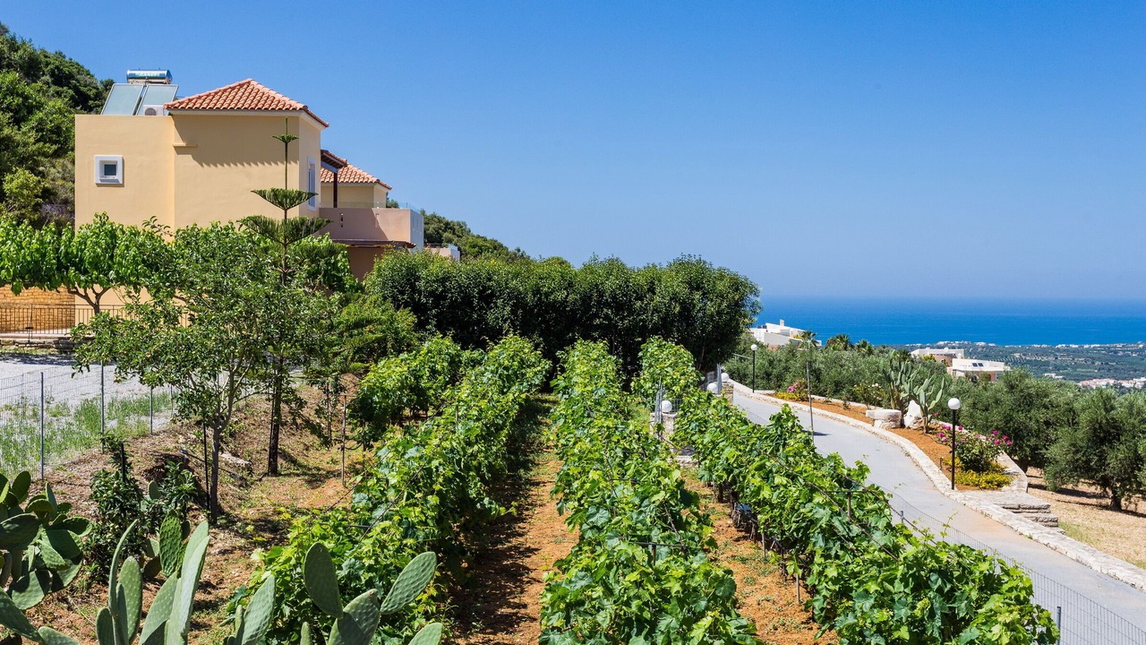 Photo of Outdoor in Agia Triada