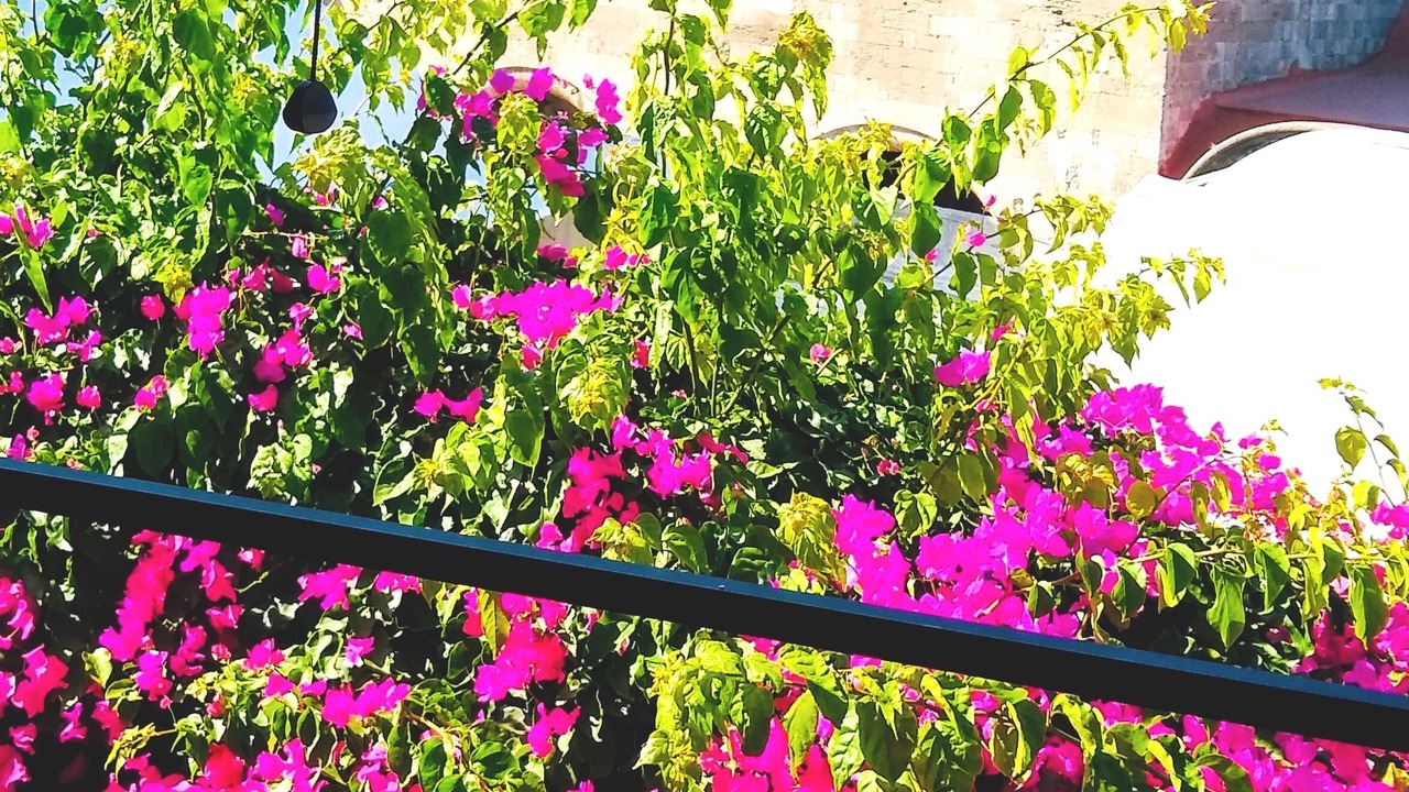 Photo of Outdoor in Rhodes