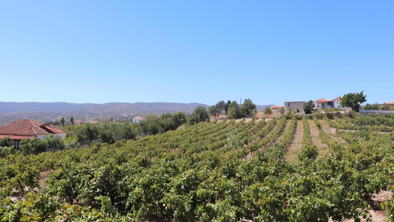 Photo of Outdoor in Pylos-Nestoras