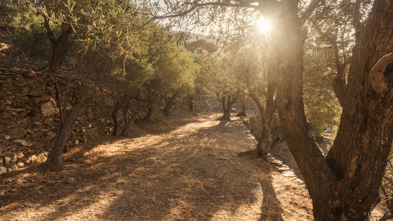 Photo of Outdoor in Exomvourgo