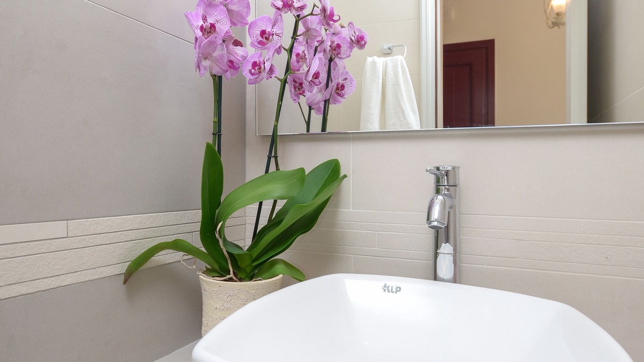 Photo of Bathroom in Agios Prokopios