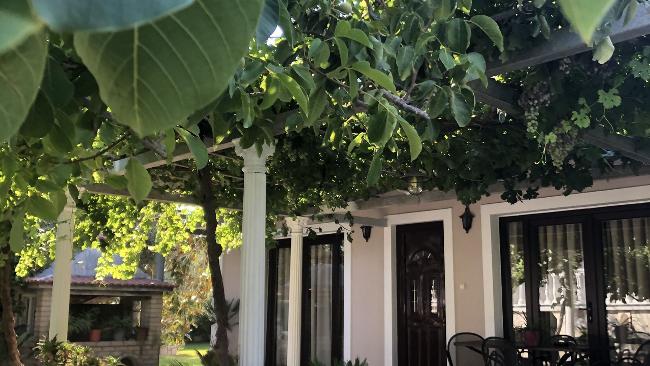 Photo of Patio Balcony in Pigadhakia