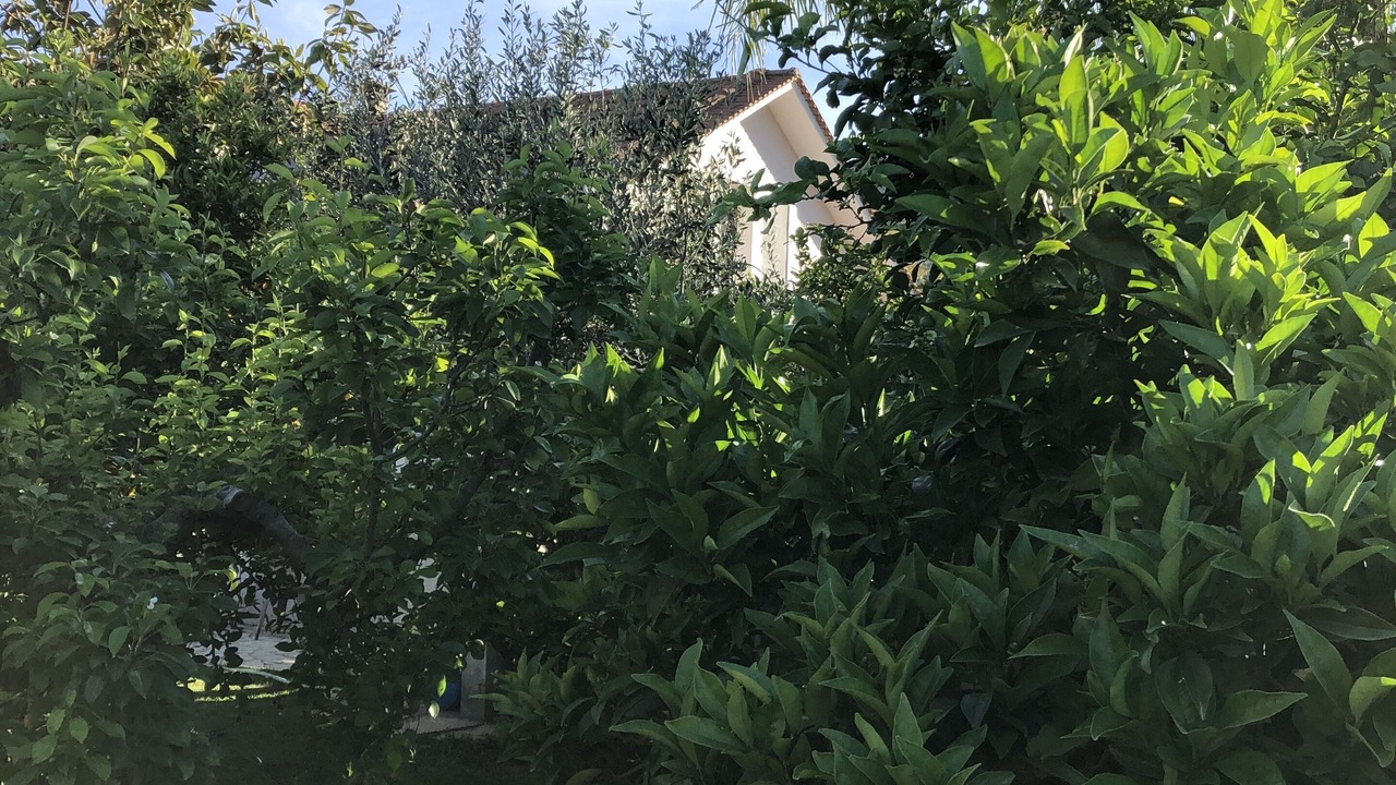 Photo of Outdoor in Pigadhakia