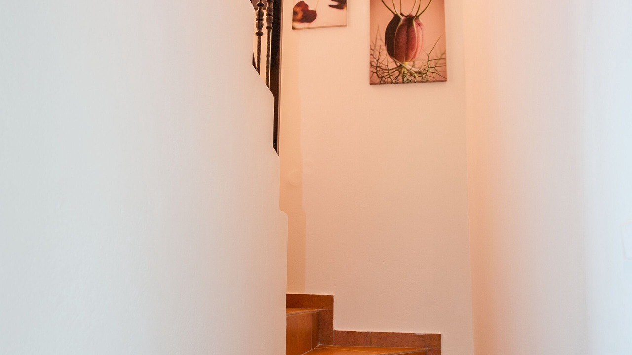 Photo of Others in Elos