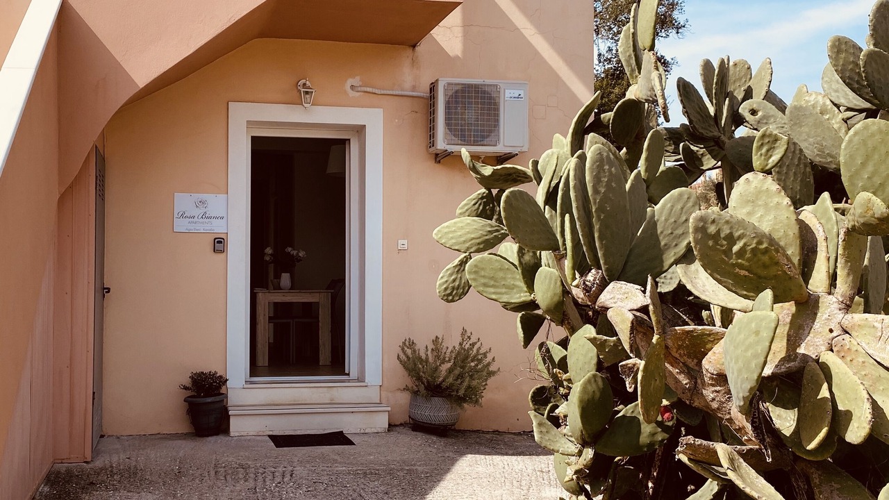 Photo of Outdoor in Corfu Town