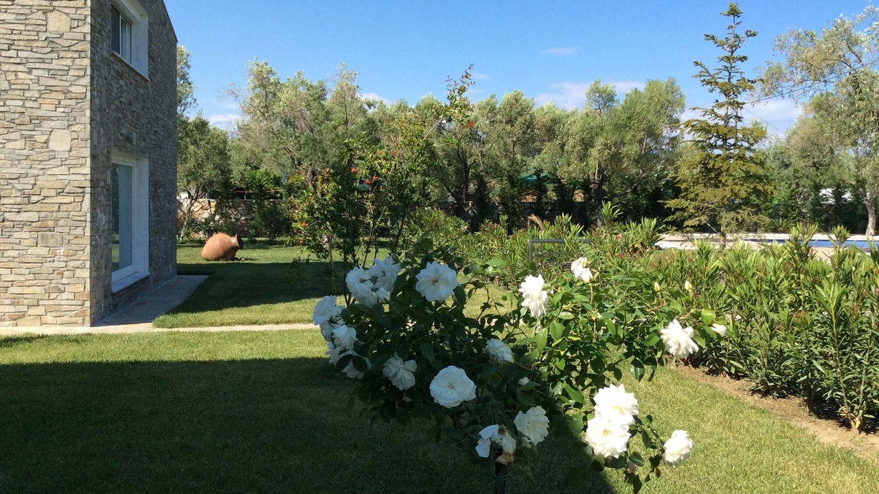 Photo of Outdoor in Prinos