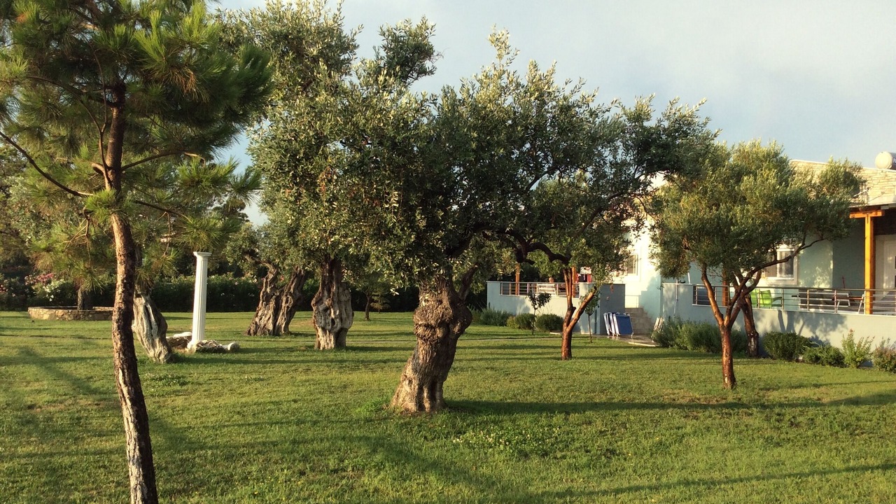 Photo of Outdoor in Prinos