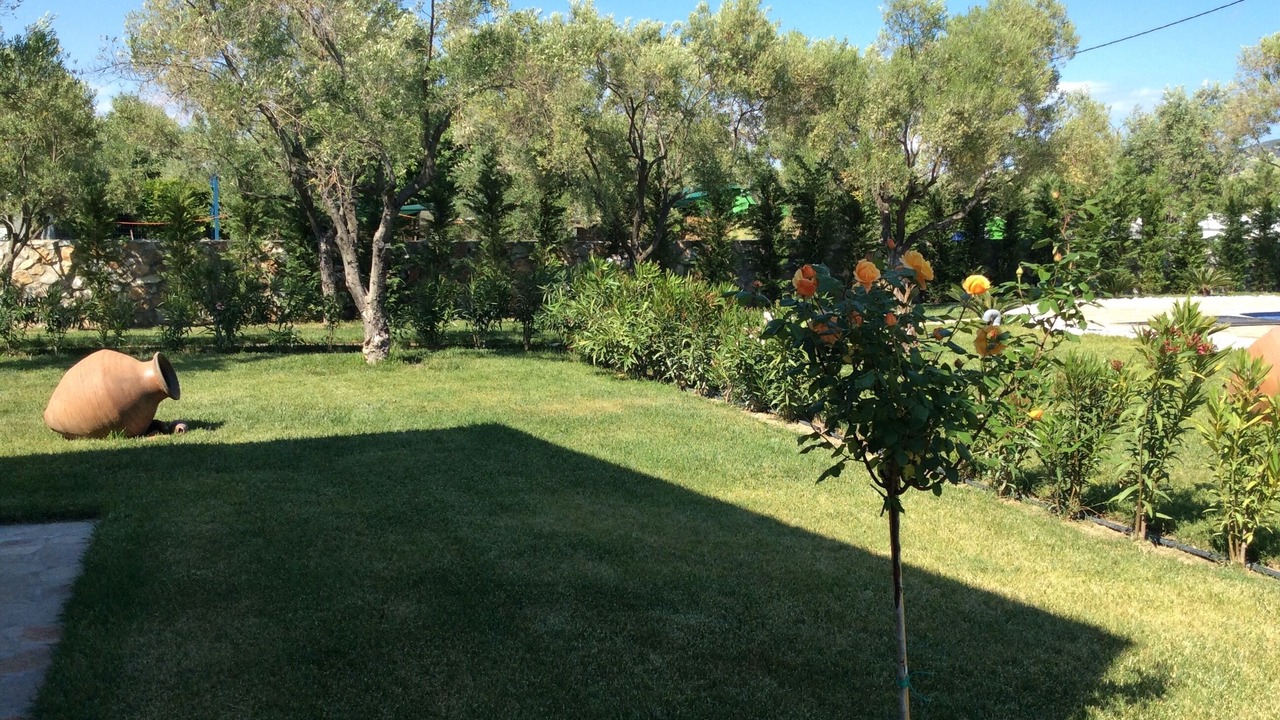 Photo of Outdoor in Prinos