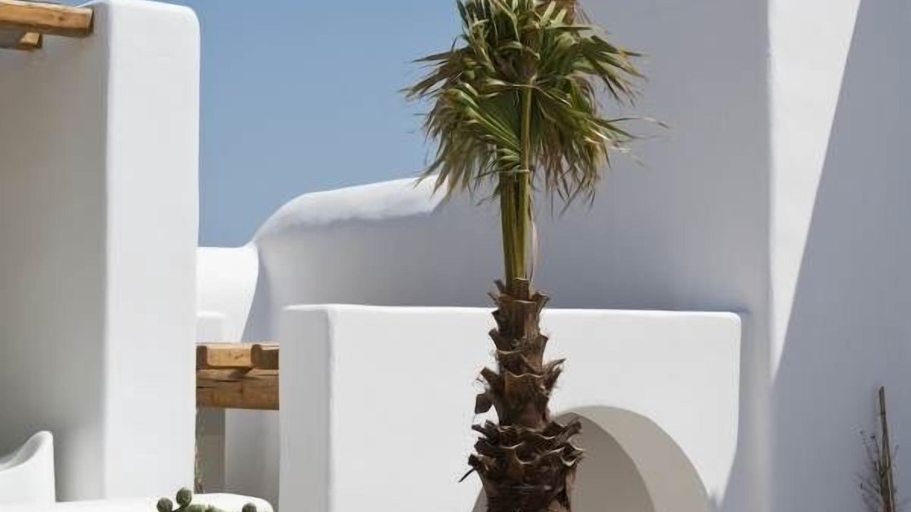 Photo of Outdoor in Tourlos