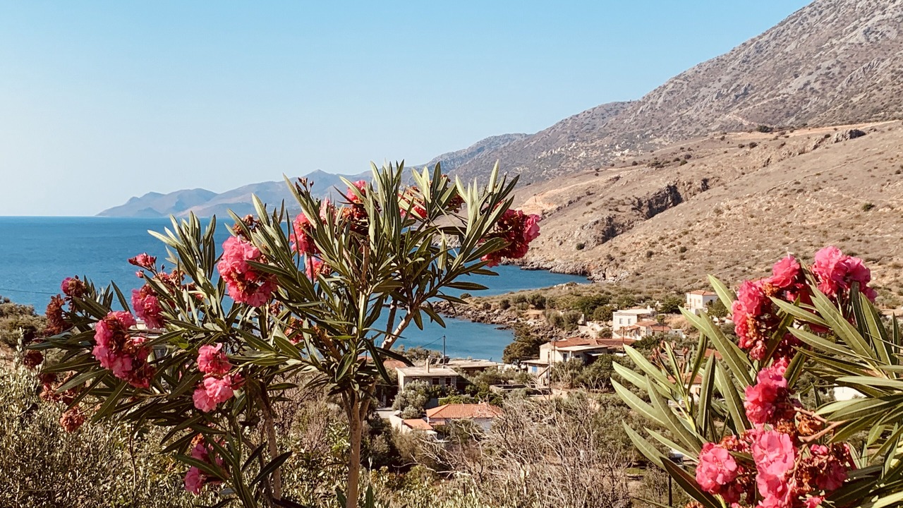Photo of Outdoor in East Mani