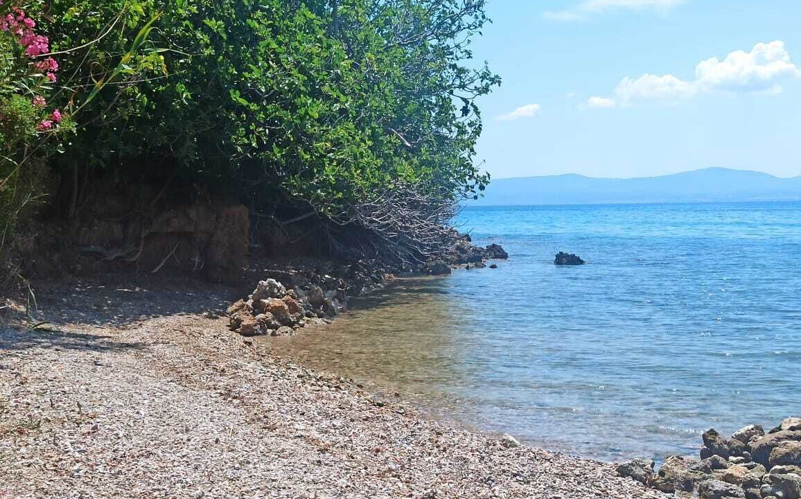 Photo of Others in Eretria