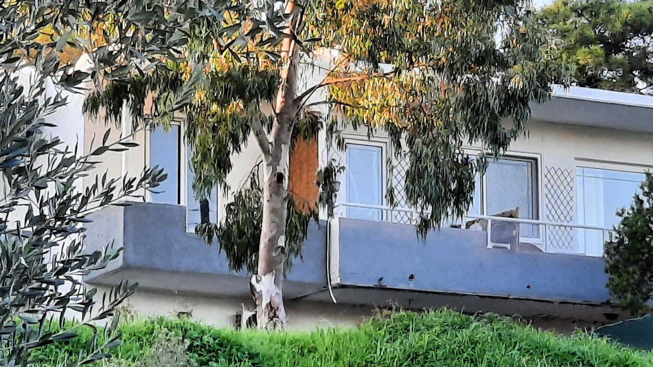 Photo of Outdoor in Faliraki