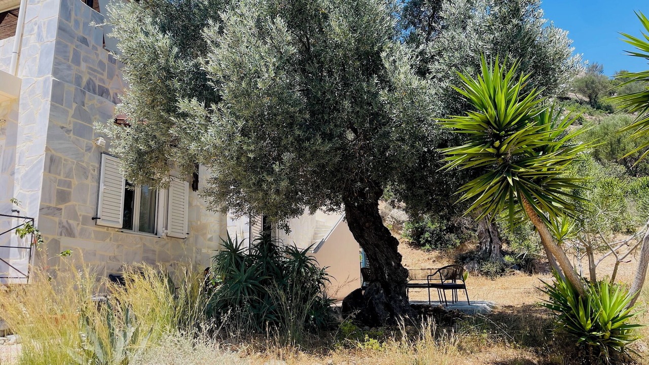 Photo of Outdoor in Agia Galini