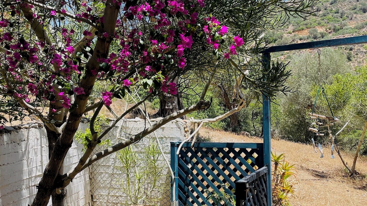 Photo of Outdoor in Agia Galini