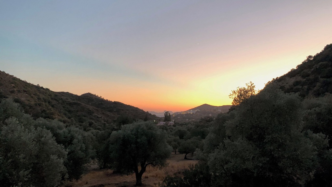 Photo of Others in Agia Galini