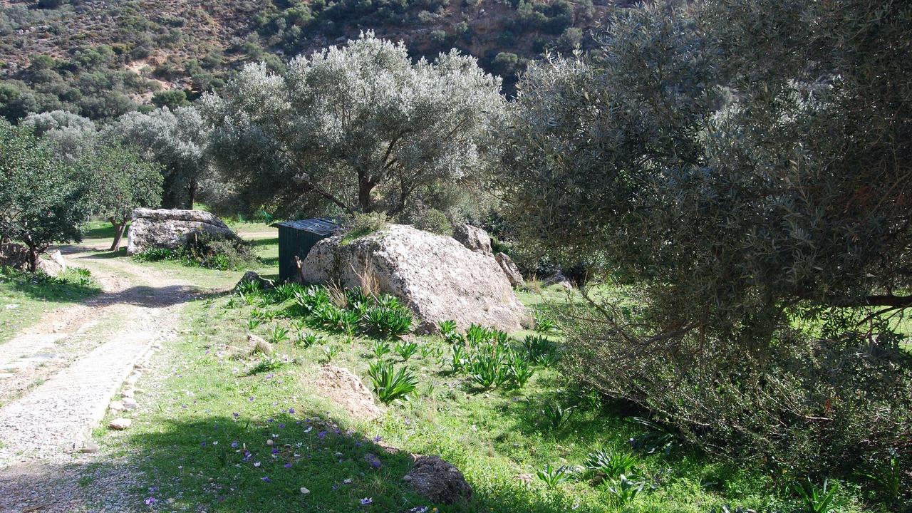 Photo of Outdoor in Agia Galini