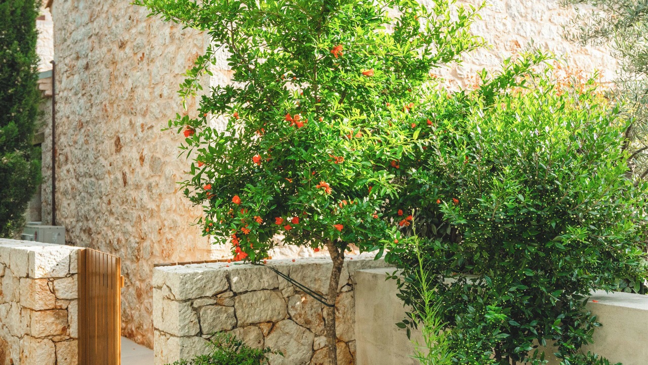 Photo of Outdoor in Lefkada
