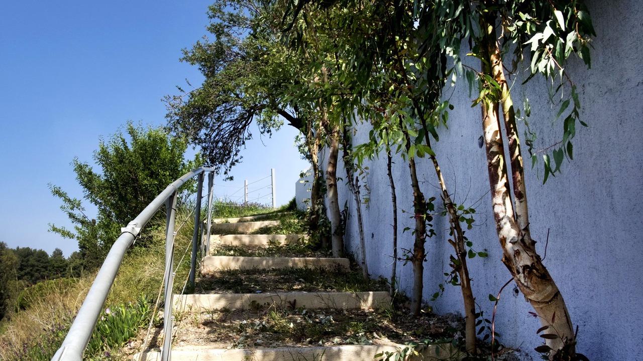 Photo of Outdoor in Eretria