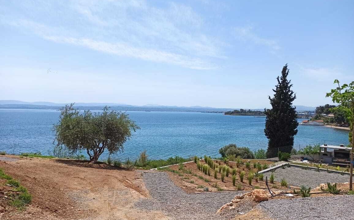 Photo of Others in Eretria