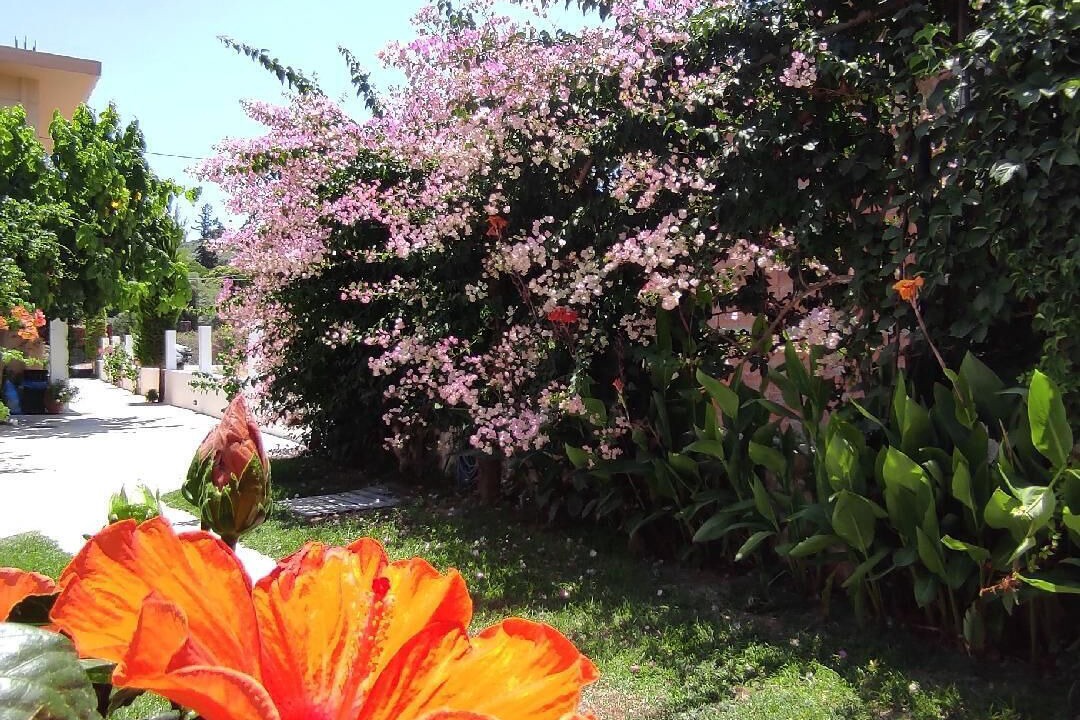 Photo of Outdoor in Kalyves