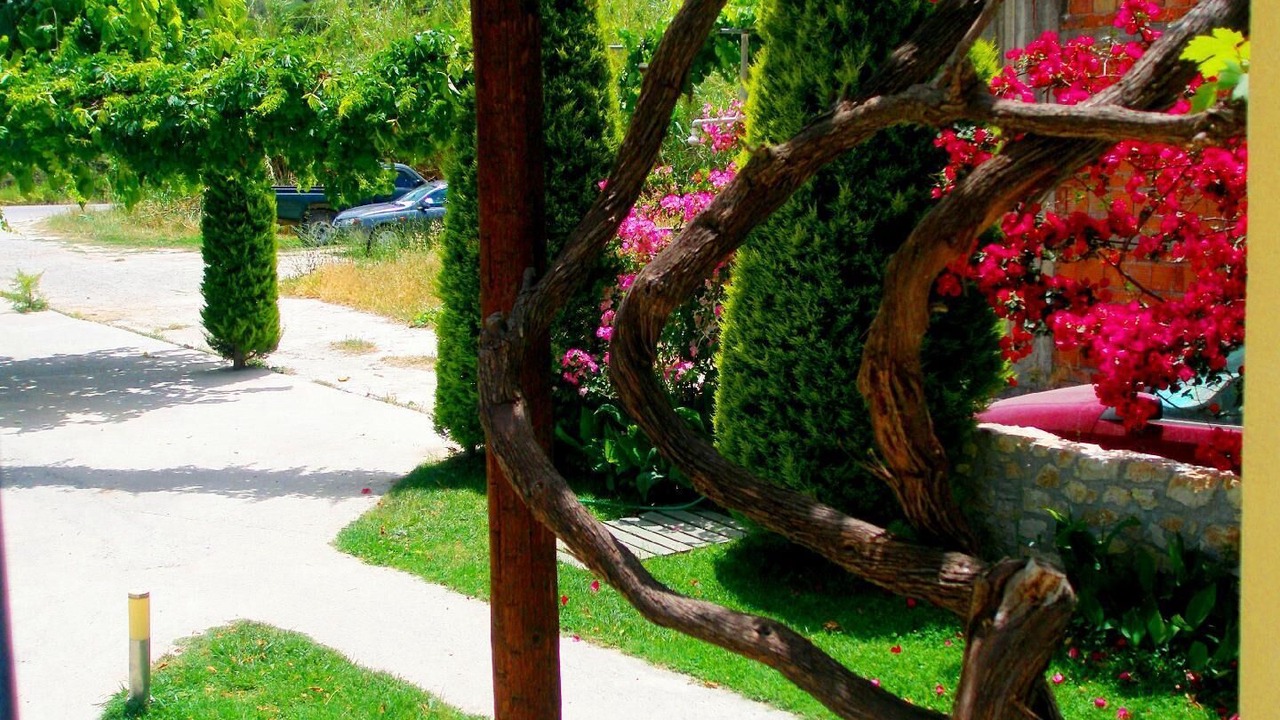 Photo of Outdoor in Kalyves