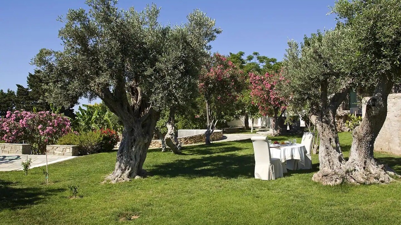 Photo of Outdoor in Paros