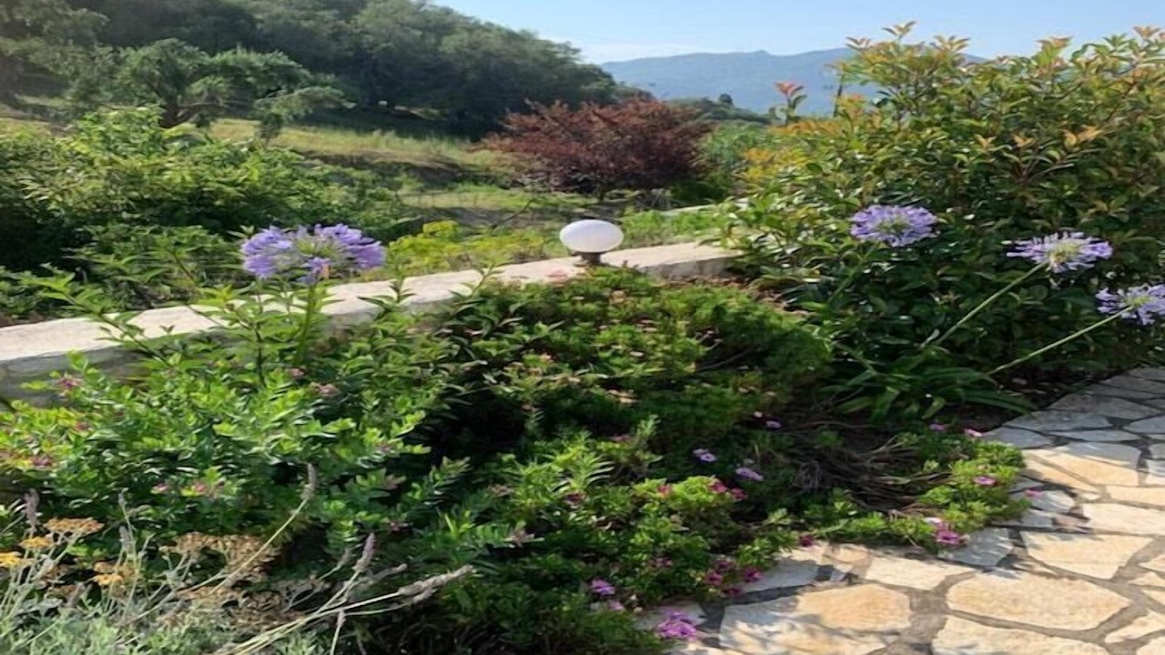 Photo of Outdoor in Afionas