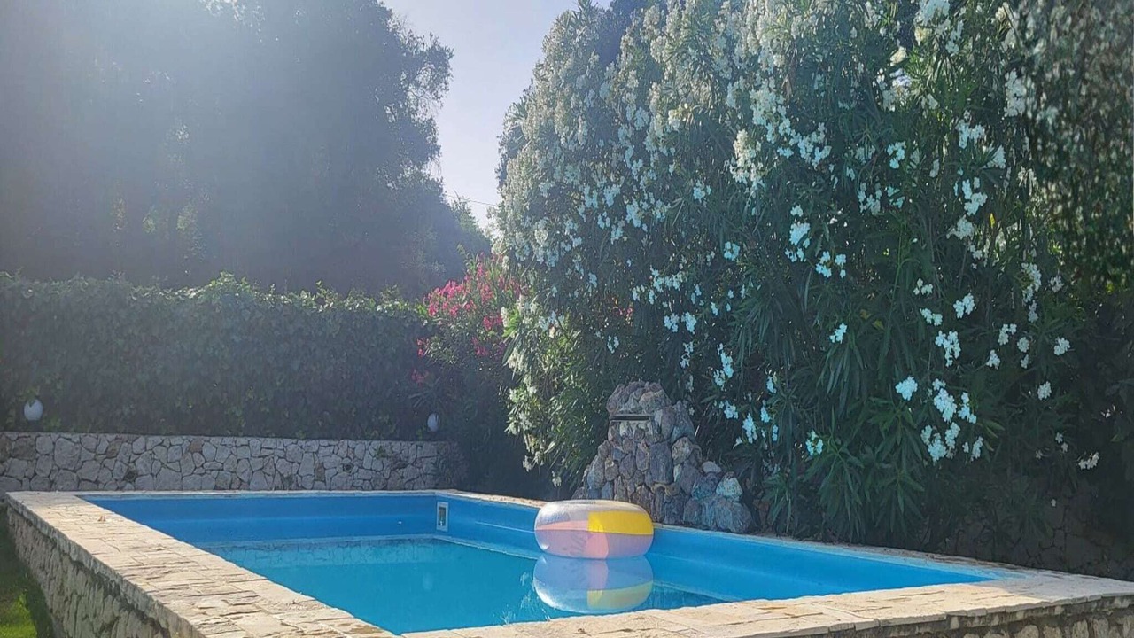 Photo of Outdoor in Afionas