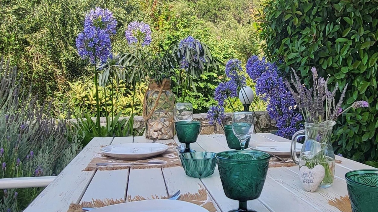 Photo of Outdoor in Afionas